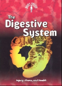 Image of The Digestive System, Body Focus