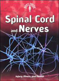 Image of Spinal Cord and Nerves, Body Focus