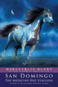 Image of San Domingo the Medicine Hat Stallion