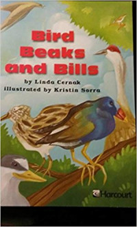 Image of Bird Beaks and Bills
