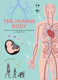 Image of THE HUMAN BODY : Secrets and Fun Facts about the Human Body at a Single Glance