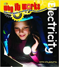 Image of Why It Works : Electricity