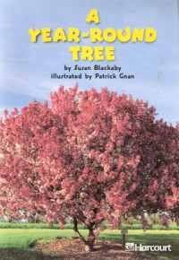 Image of A Year-Round Tree