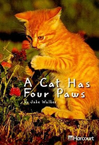Image of A Cat has four paws