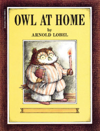 Image of Owl at Home