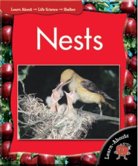Image of Nests