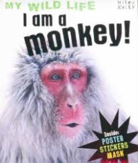 Image of My Wild Life : I am a Monkey!