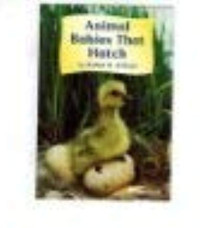 Image of Animal Babies That Hatch