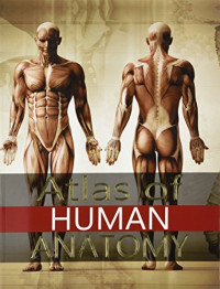 Image of Atlas of Human Anatomy