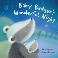 Image of Baby Badger's Wonderful Night
