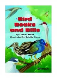 Image of Bird Beaks and Bill