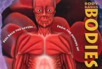 Image of Body Basics : Bodies = Peel Back The Layers...From The Outside in!