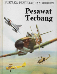 Image of Pesawat Terbang