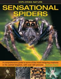 Image of Exploring Nature : Sensational Spiders