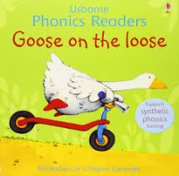 Image of Goose on the loose