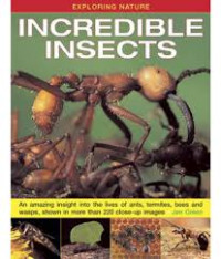 Image of Exploring Nature : Incredible Insects