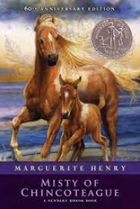 Image of Misty of Chincoteague