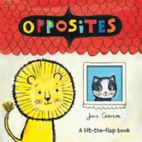 Image of OPPOSITES : A lift-the-flap book