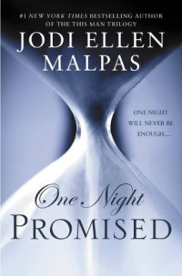 Image of One Night : Promised
