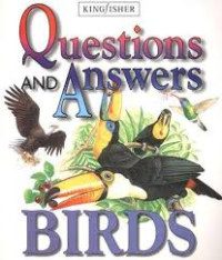 Image of Questions And Answers : Birds
