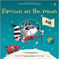 Image of Raccoon on the moon