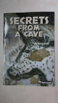 Image of Secrets from a cave