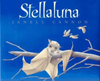 Image of Stellaluna