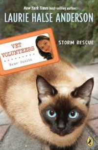 Image of Storm Rescue