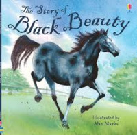 Image of The story of black beauty
