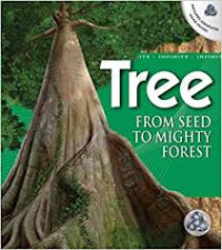 Image of Tree From The Seed To Mighty Forest