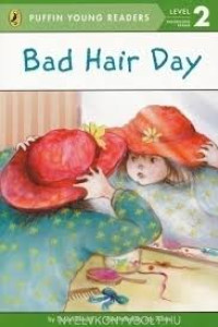 Image of Bad Hair Day ( Level 2 )