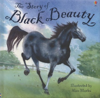 Image of The Story of Black Beauty