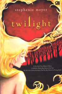Image of twilight