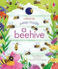 Image of Usborne Peep Inside a beehive