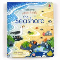 Image of Usborne Peep Inside the Seashore