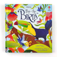 Image of USBORNE Pop-Up BIRDS