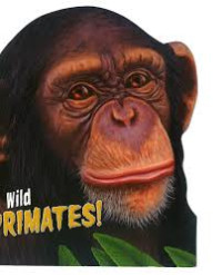 Image of Wild PRIMATES!