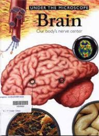 Image of UNDER THE MICROSCOPE Brain : Our body's nerve center