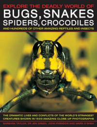 Image of Explore the Deadly World of Bugs, Snakes, Spiders, Crocodiles & Hundreds of other Amazing Reptiles and Insects