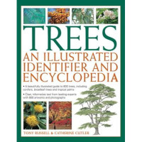 Image of Trees: An Illustrated Identifier and Encyclopedia