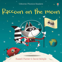 Image of Raccoon On The Moon