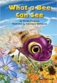 Image of What a Bee Can See